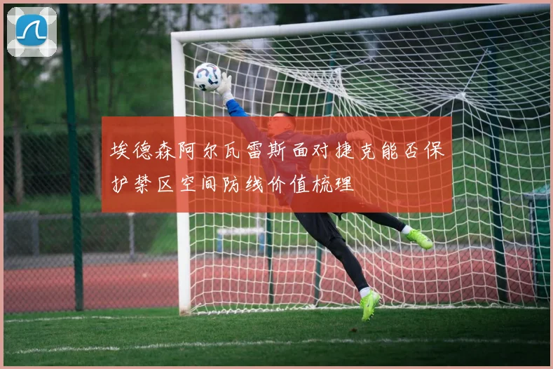埃德森阿尔瓦雷斯面对捷克能否保护禁区空间防线价值梳理