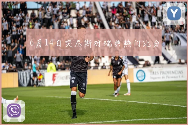 6月14日突尼斯对瑞典热门比分