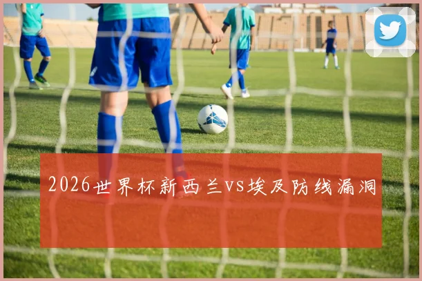 2026世界杯新西兰vs埃及防线漏洞