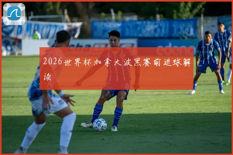 2026世界杯加拿大波黑赛前进球解读