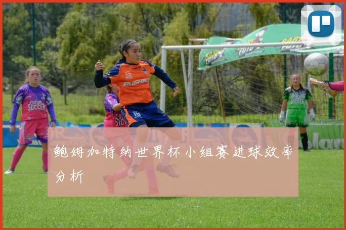 鲍姆加特纳世界杯小组赛进球效率分析