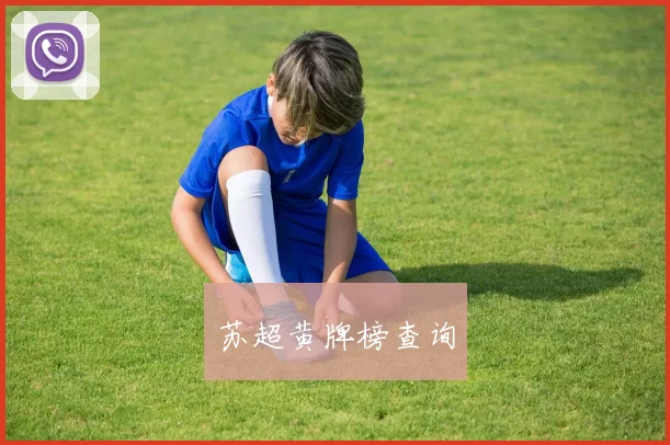 苏超黄牌榜查询