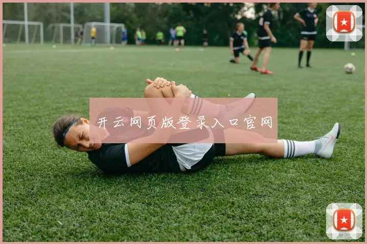 开云网页版登录入口官网