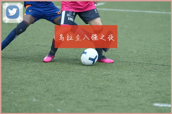 乌拉圭八强之夜