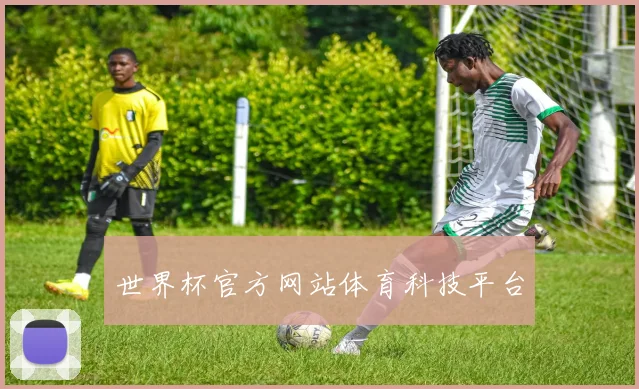 世界杯官方网站体育科技平台