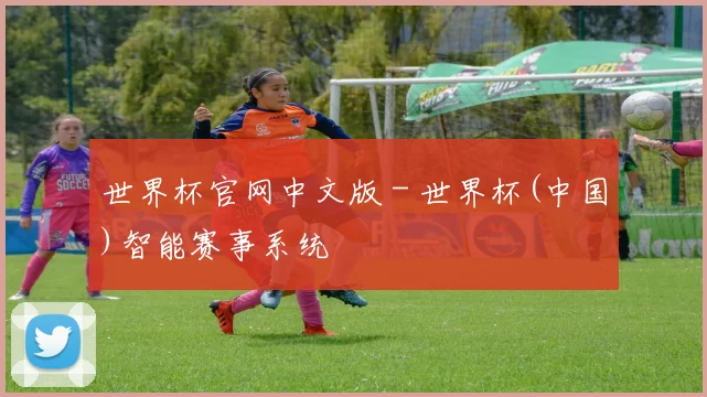 世界杯官网中文版 - 世界杯(中国)智能赛事系统