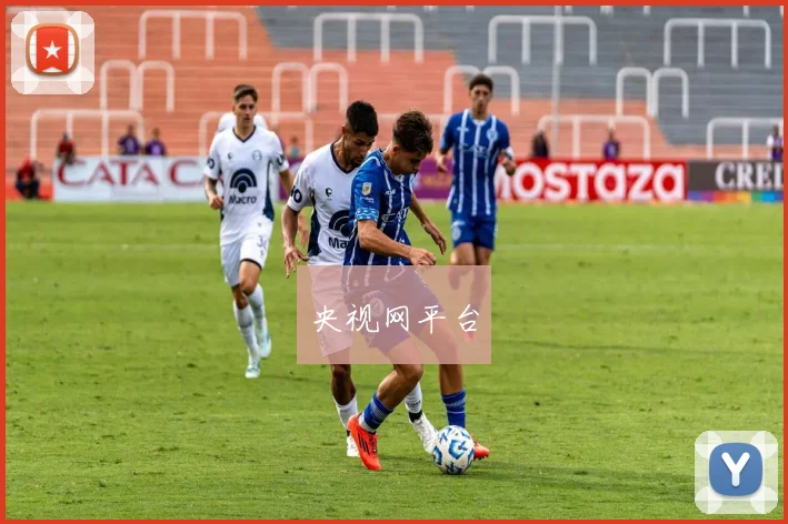 央视网平台