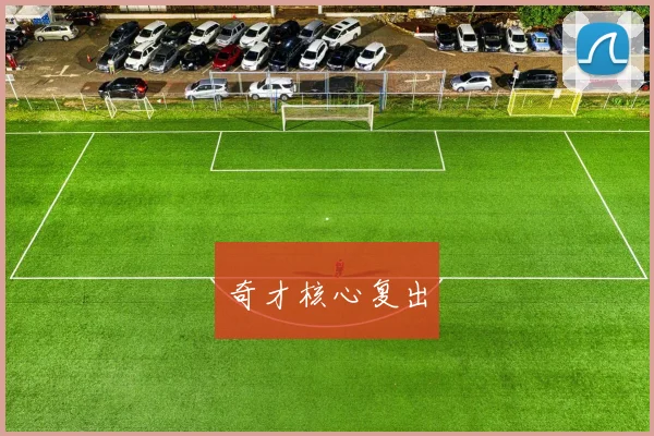 奇才核心复出