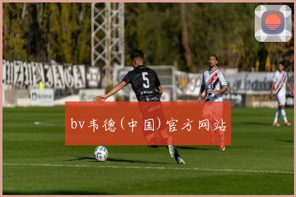 bv韦德(中国)官方网站