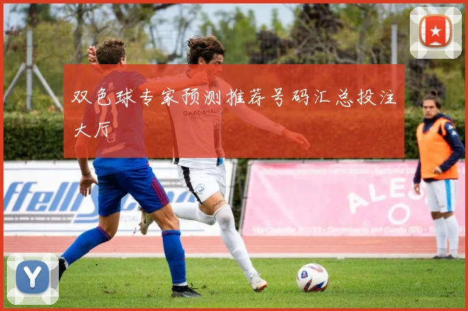 双色球专家预测推荐号码汇总投注大厅