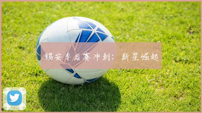 锡安季后赛冲刺：新星崛起