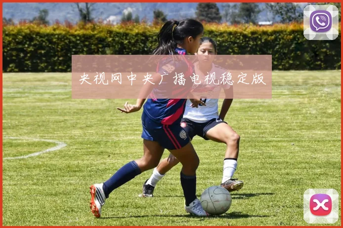 央视网中央广播电视稳定版