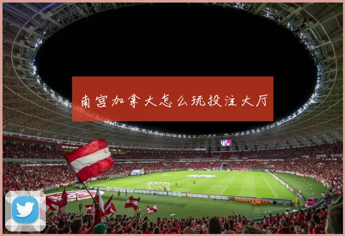 南宫加拿大怎么玩投注大厅