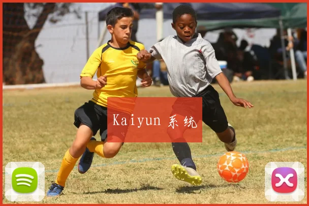 Kaiyun 系统