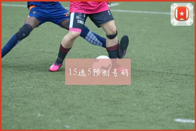 15选5预测号码