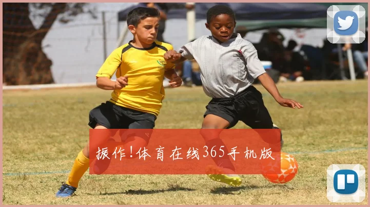振作!体育在线365手机版