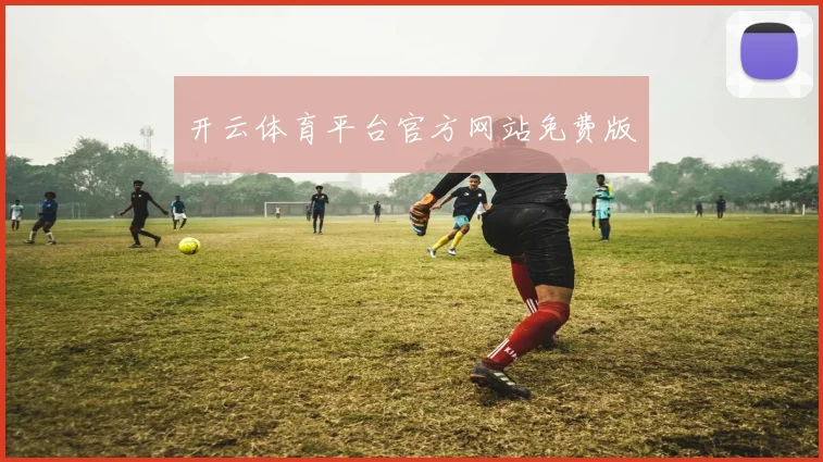 开云体育平台官方网站免费版