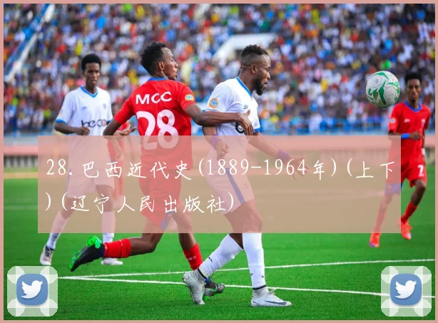 28.巴西近代史(1889-1964年)(上下)(辽宁人民出版社)