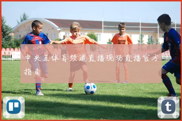 中央五体育频道直播现场直播官方指南