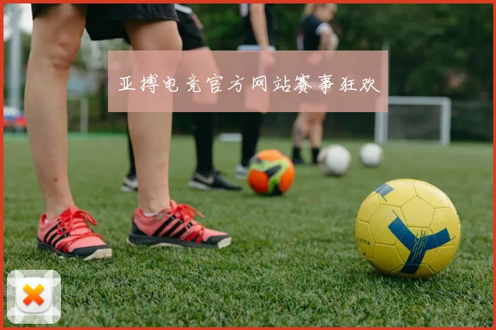 亚搏电竞官方网站赛事狂欢