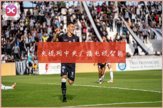 央视网中央广播电视智能