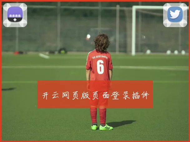 开云网页版页面登录插件