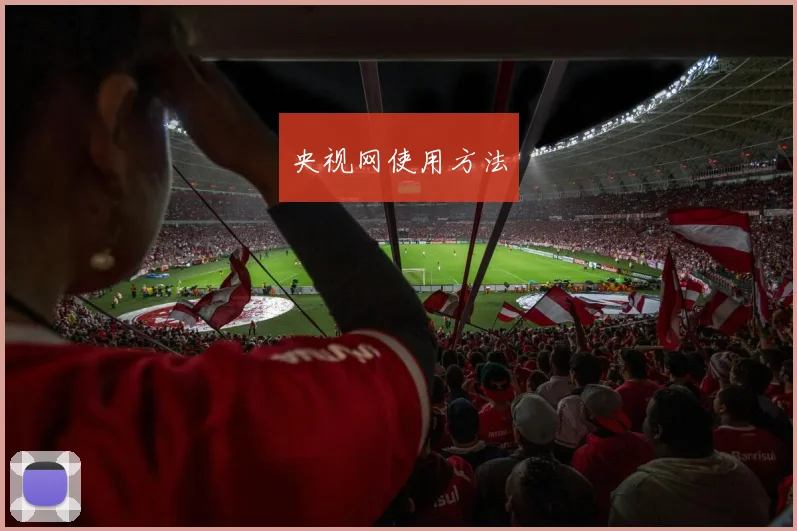 央视网使用方法