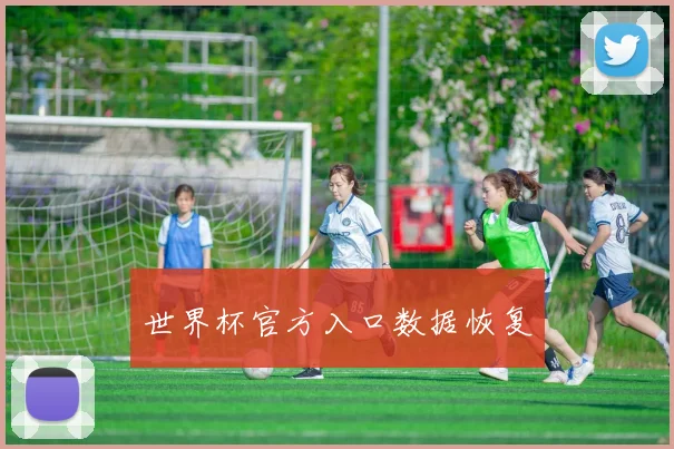世界杯官方入口数据恢复
