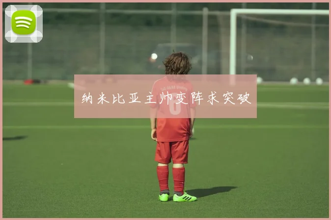 纳米比亚主帅变阵求突破