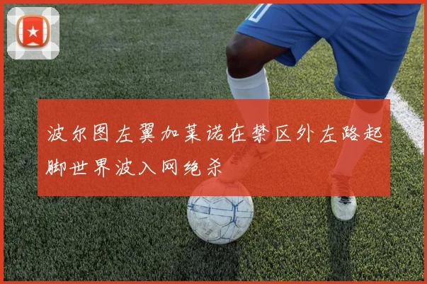 波尔图左翼加莱诺在禁区外左路起脚世界波入网绝杀