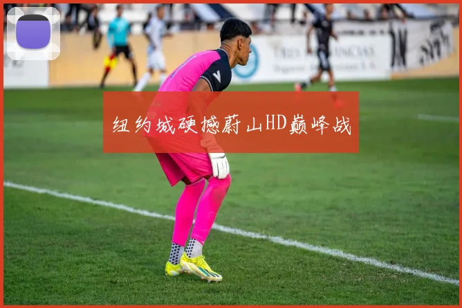 纽约城硬撼蔚山HD巅峰战