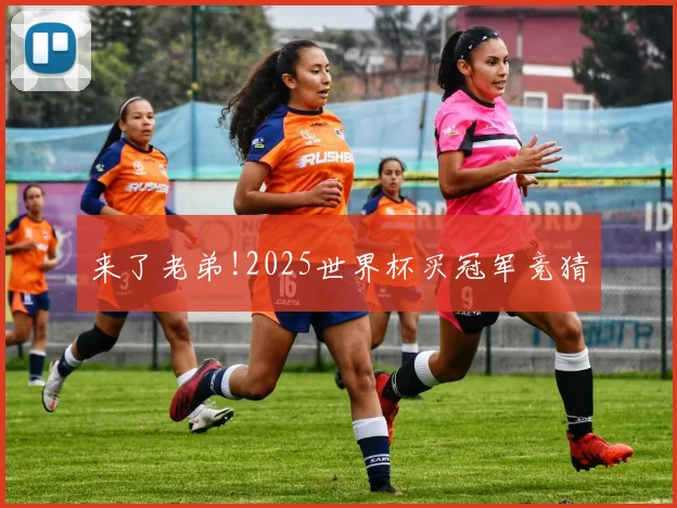 来了老弟!2025世界杯买冠军竞猜