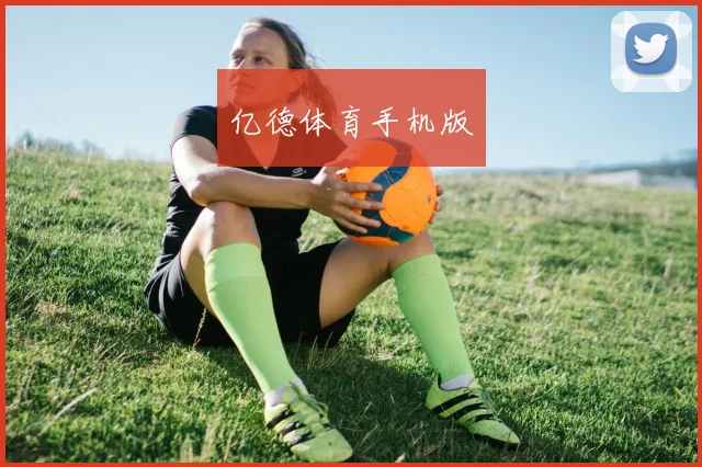 亿德体育手机版