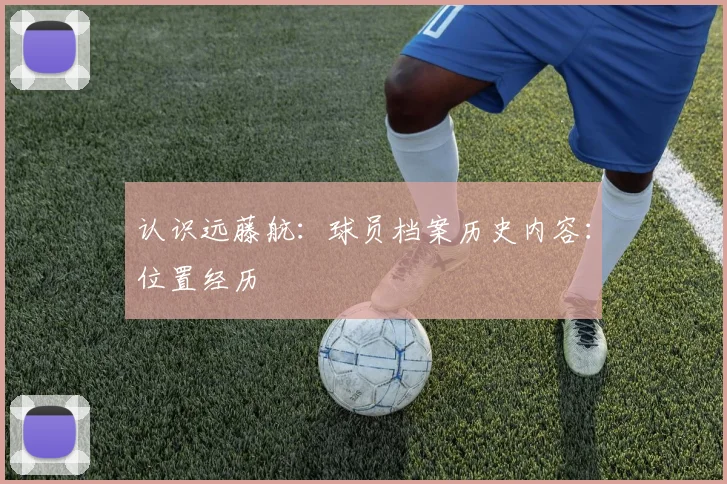 认识远藤航：球员档案历史内容：位置经历