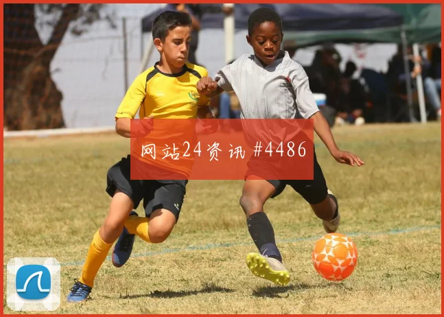 2026世界杯比利时赔率变化观察