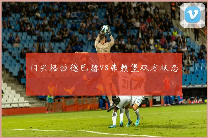 门兴格拉德巴赫vs弗赖堡双方状态