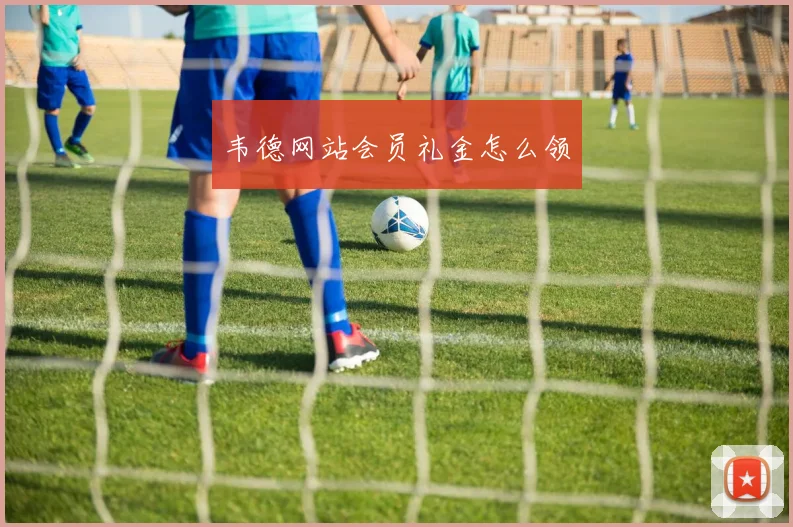 韦德网站会员礼金怎么领