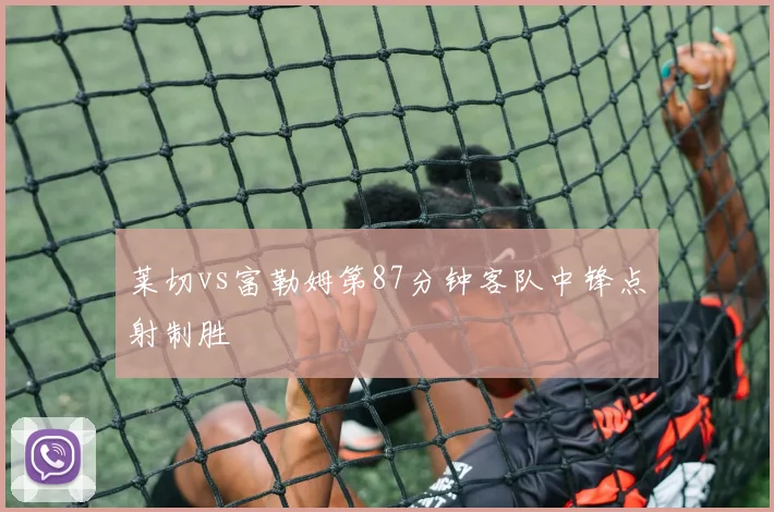 莱切vs富勒姆第87分钟客队中锋点射制胜
