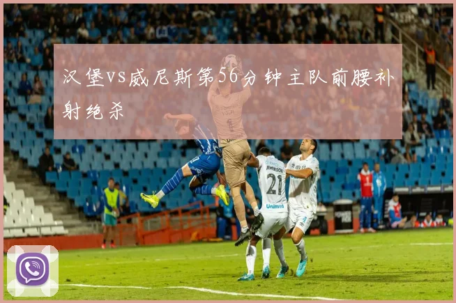 汉堡vs威尼斯第56分钟主队前腰补射绝杀