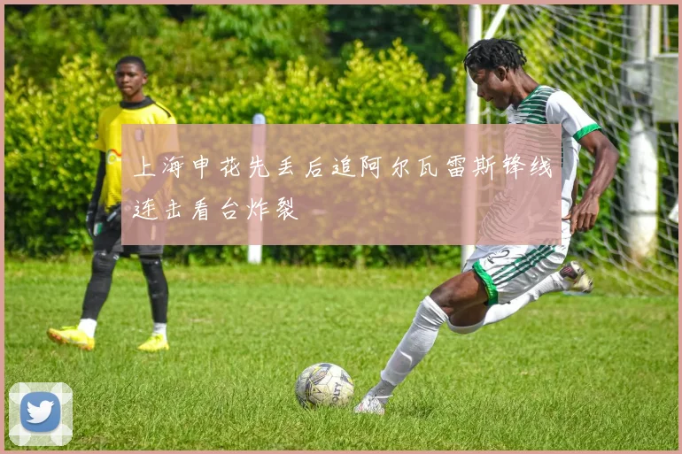 上海申花先丢后追阿尔瓦雷斯锋线连击看台炸裂